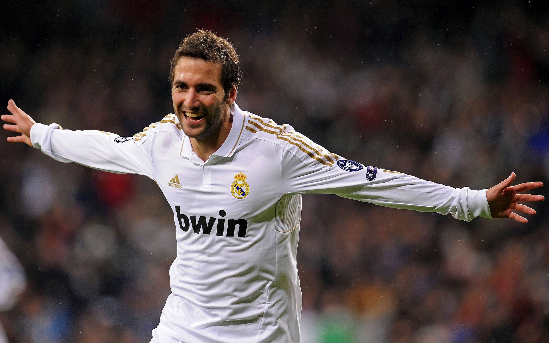 冠军拼图：总冠军争夺战的关键因素，冠军拼图英文