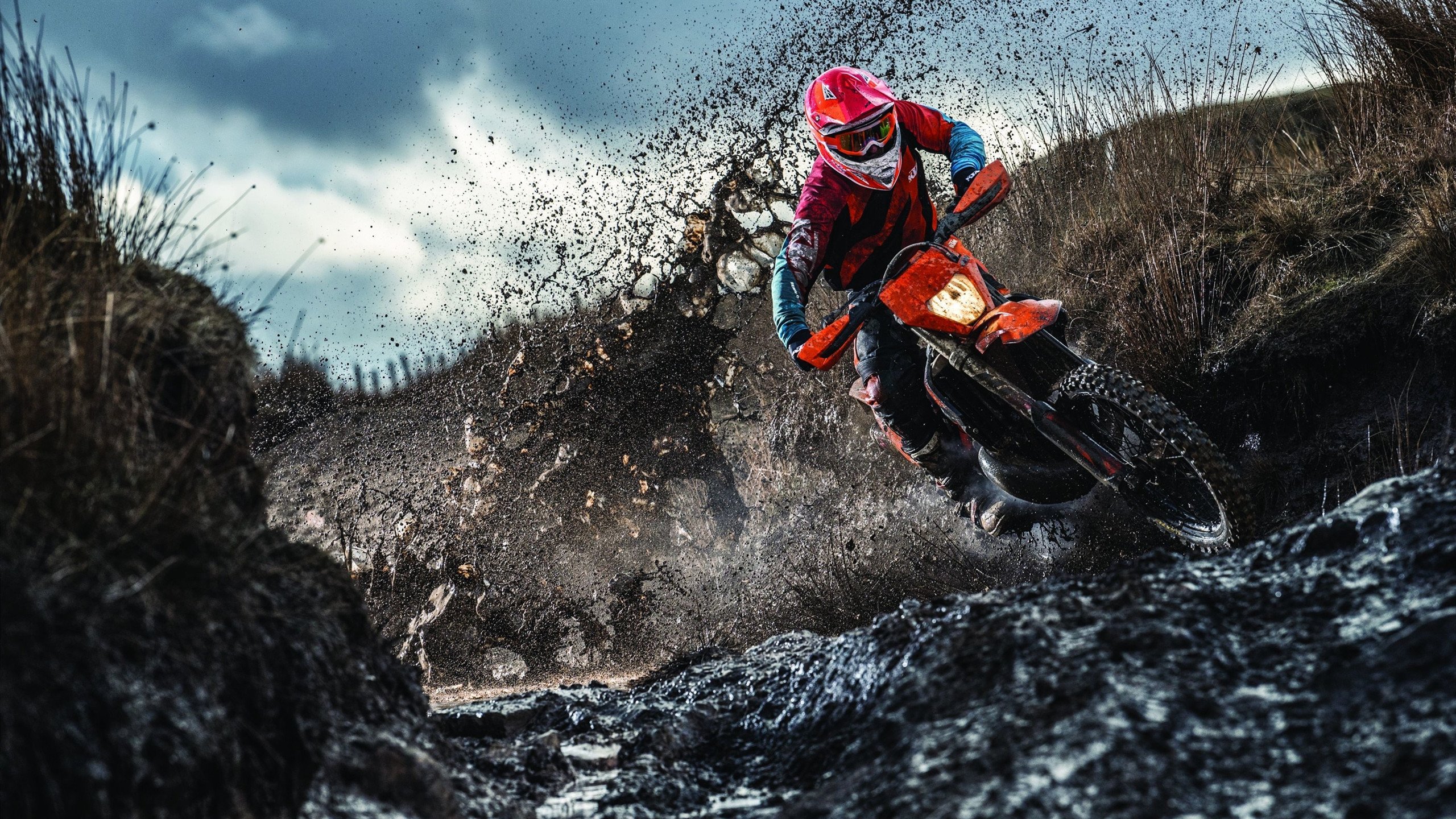 未来“欧洲王者”登基：新一代领军人物崭露头角，欧洲未来知乎